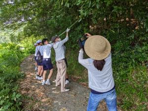 しらかべクモの巣取りボランティア