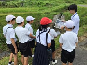 現地での説明