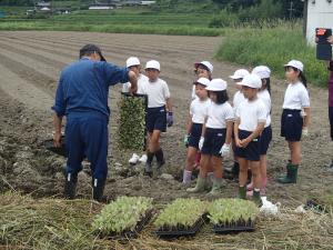 植え方を教わるところ