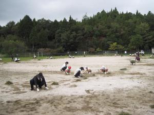 作業の様子