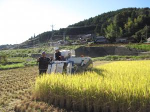 コンバインでの稲刈り体験
