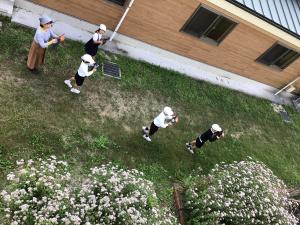 アサギマダラを写真に撮るところ