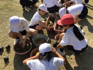 縦割り班で植えるところ