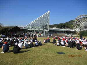 フラワーピクニック