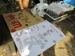 フラワーピクニック