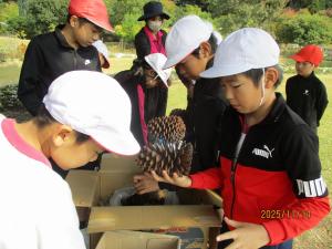 フラワーピクニック