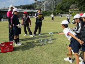 フラワーピクニック