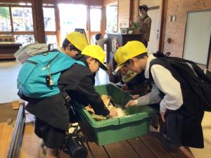 モルモットとのふれあい