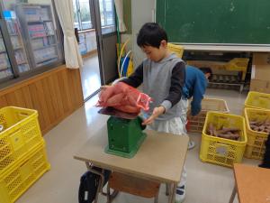 イモのネット詰め２