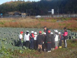 収穫の仕方を教わるところ
