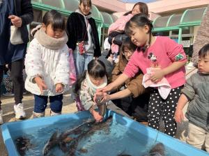 タッチングプール