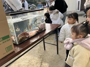 おさかなきれいね