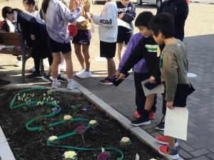 花壇の花を観察する様子