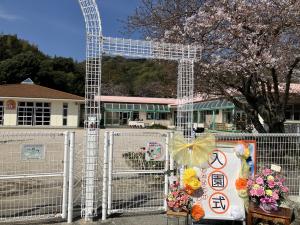 入園式桜の花