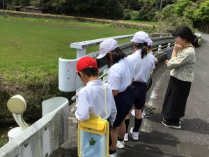 川周辺の散策