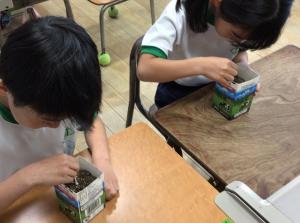 種の学習