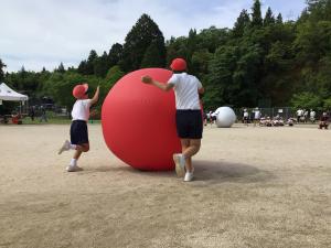 大玉ころりん