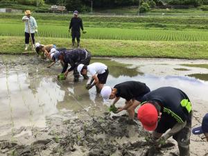 田植えをするところ