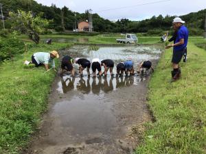 田植えをするところ