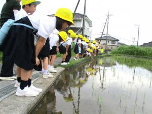 2年町たんけん