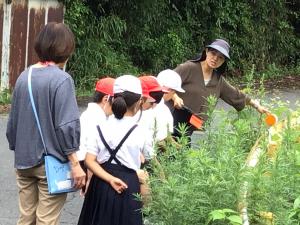 反射板の説明を聞くところ
