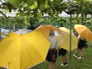 雨の中、説明をしてくださるところ