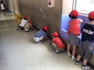 1年生流しの掃除