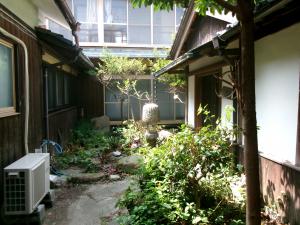 262中庭
