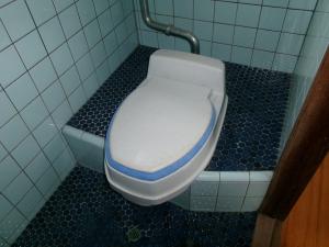 245トイレ