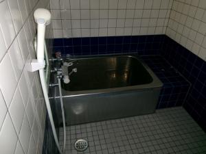 245バス