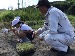 苗を植えるところ