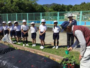 植えるところを見ている子どもたち