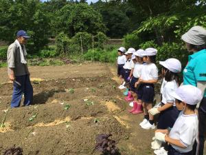 植え方の説明をしてくださる地域の方