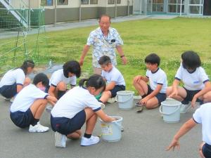 バケツ稲