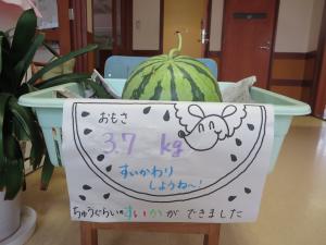 すいか