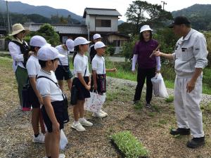 キャベツの苗植えの説明を聞く子どもたち
