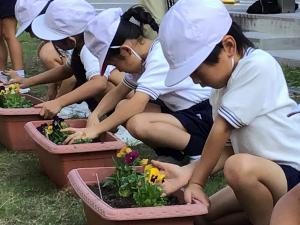 プランターに花を植える子どもたち