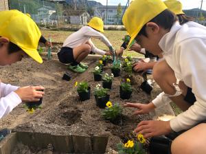 春の花