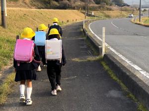 大きくなりました