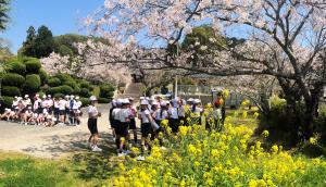 神社の桜