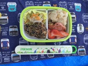 お花見弁当