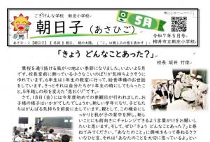 5月