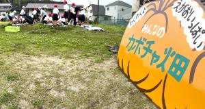 カボチャ大作戦