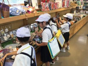 ふれあいどころの探検